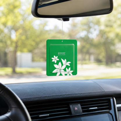 Scented Hanging Air Fresheners