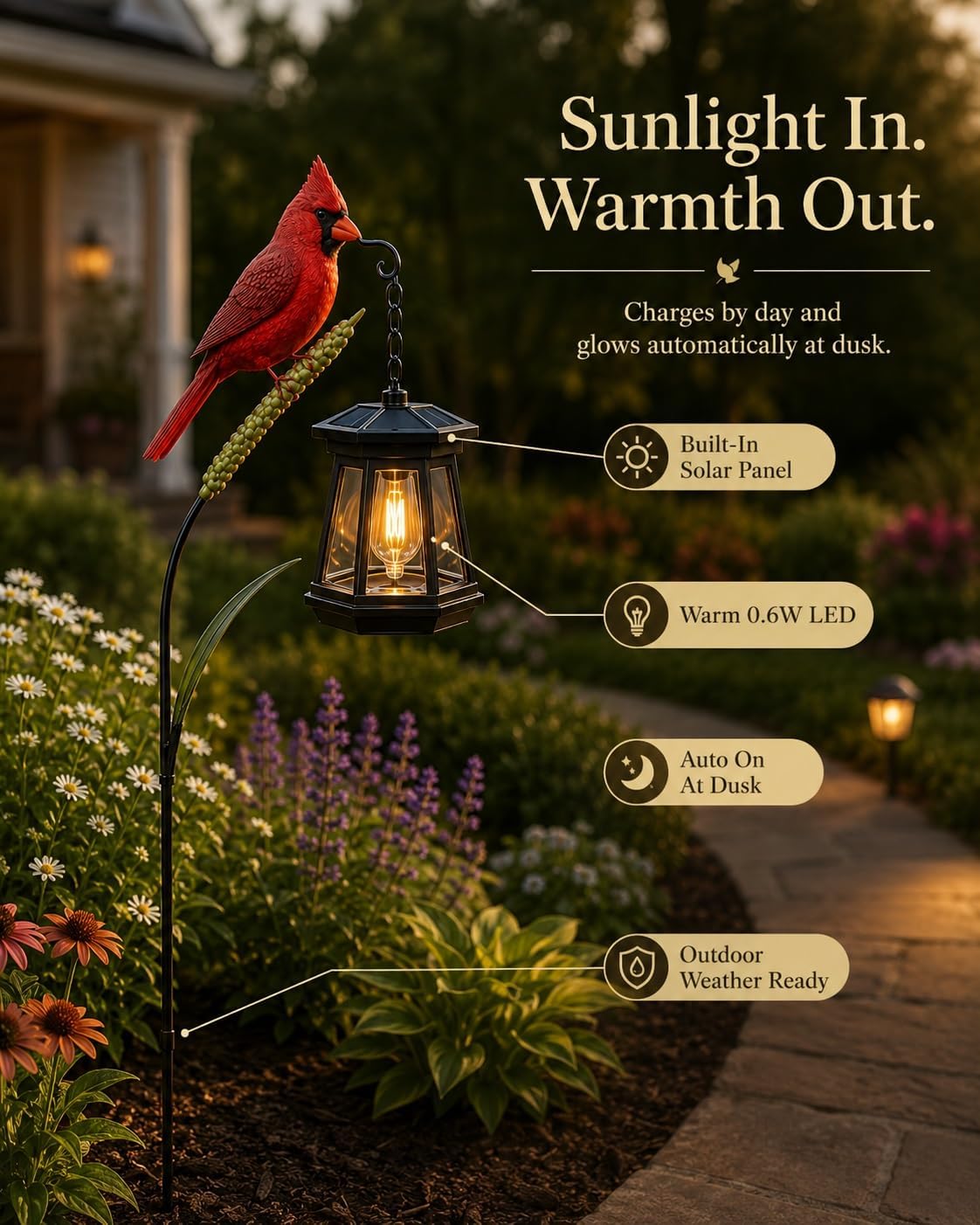 Cardinal Solar LED Light
