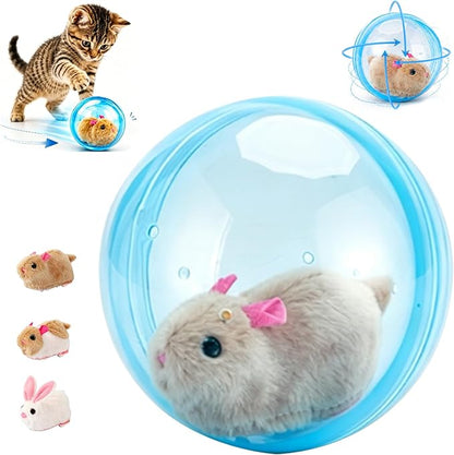 Interactive Spinning Pet Toys