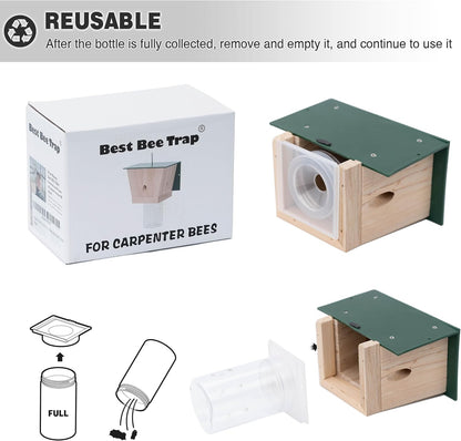 Outdoor Carpenter Bee Trap