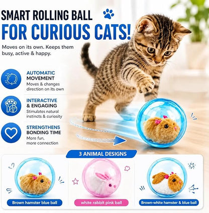 Interactive Spinning Pet Toys