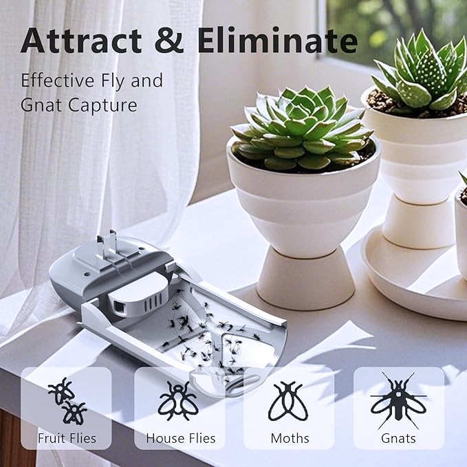 Insect Trap Refill Kit