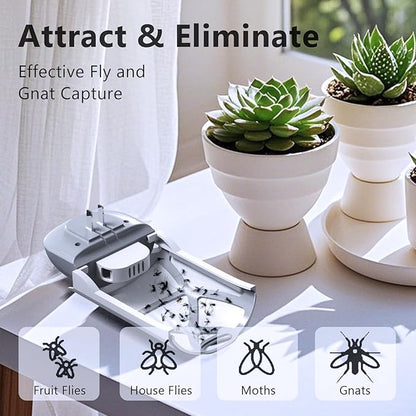Insect Trap Refill Kit
