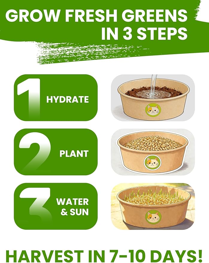 Cat Grass Seed Pack