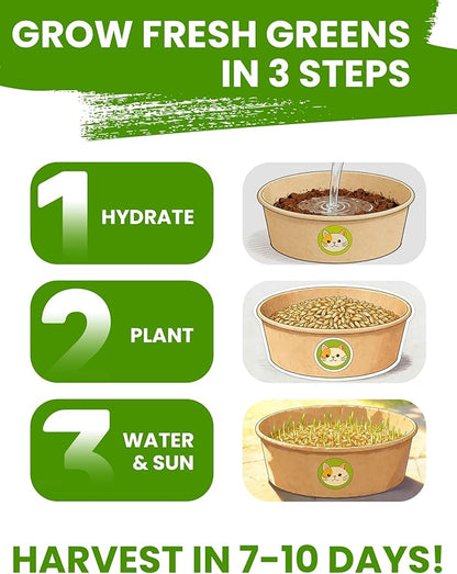 Cat Grass Seed Pack