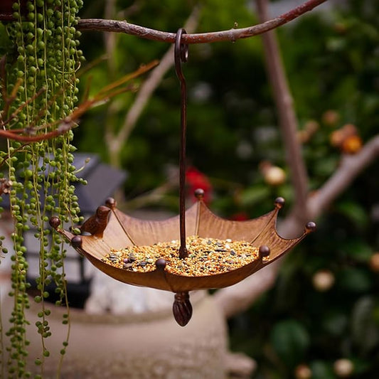 Hanging Bird Feeder Bath