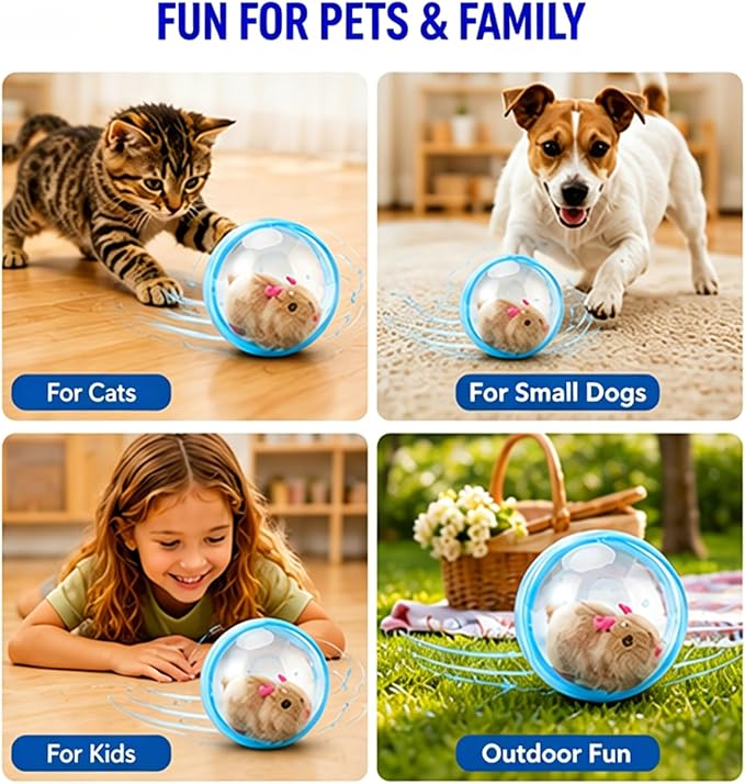 Interactive Spinning Pet Toys
