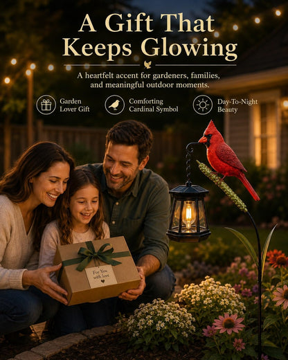 Cardinal Solar LED Light