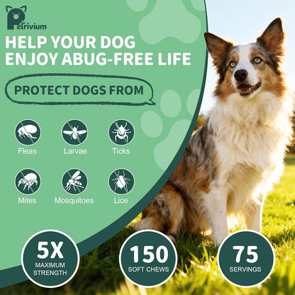 Flea Tick Prevention Chews