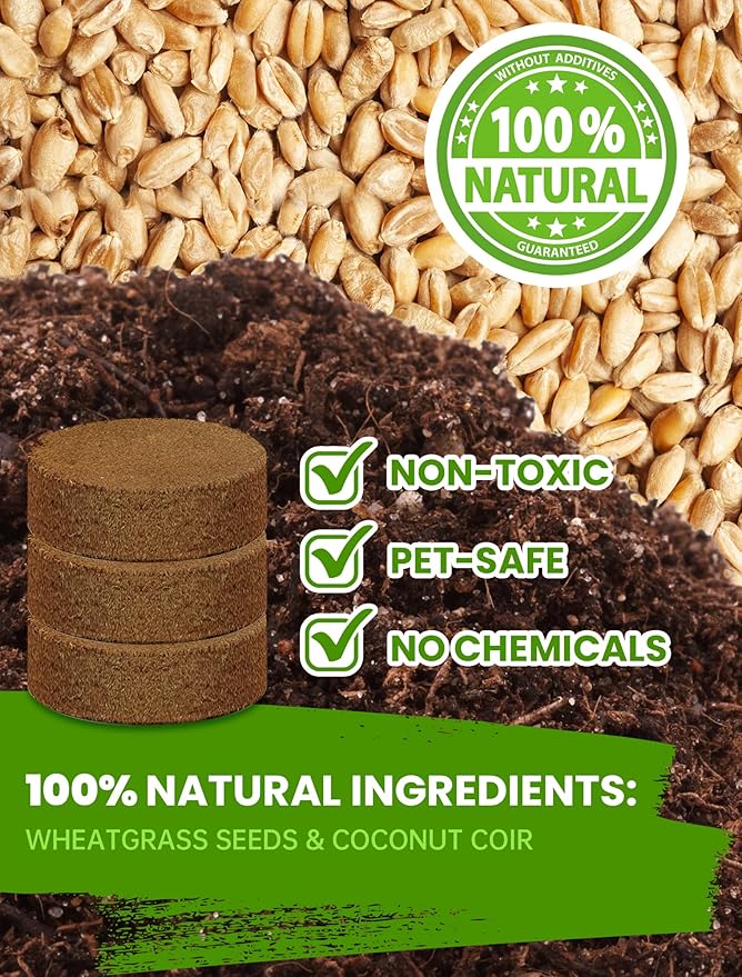 Cat Grass Seed Pack