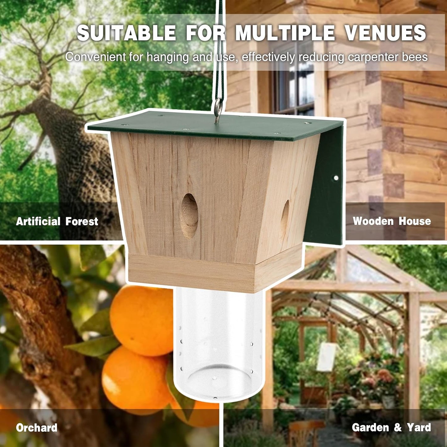 Outdoor Carpenter Bee Trap