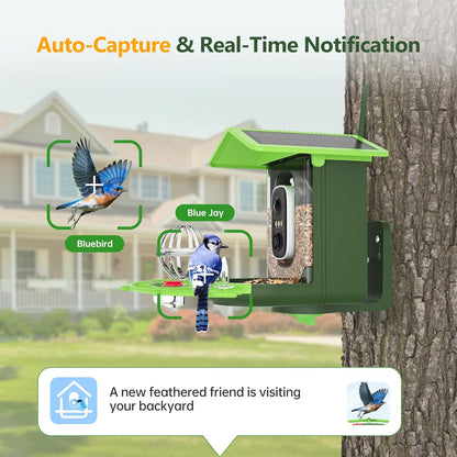 Smart Camera Bird Feeder