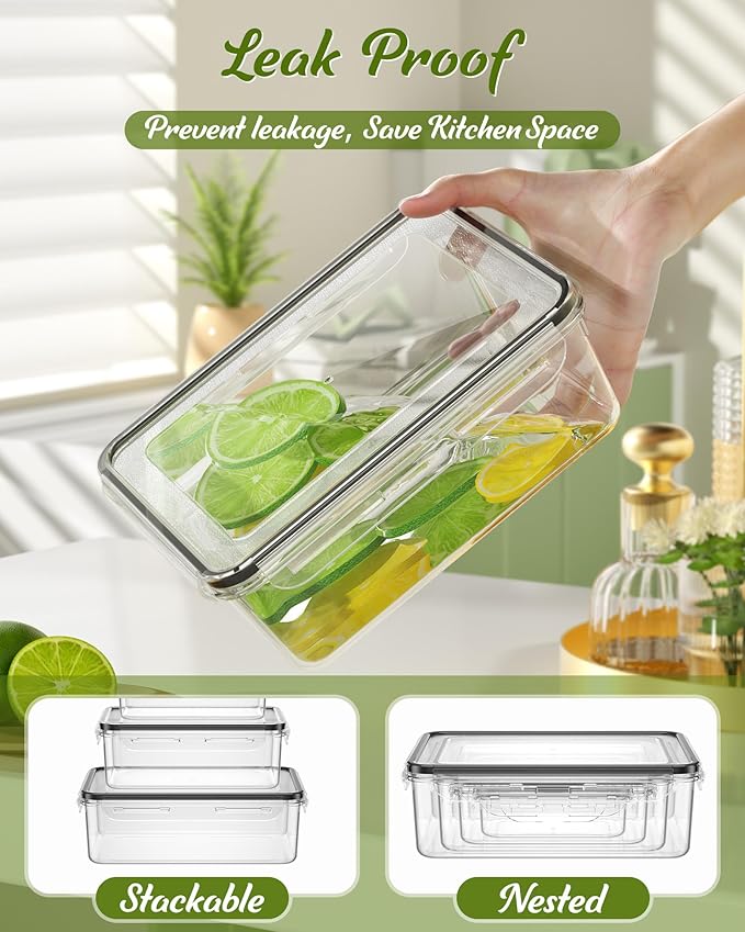 Fridge Freezer Storage Containers