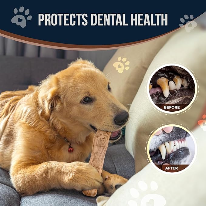 Coffee Wood Dog Chews