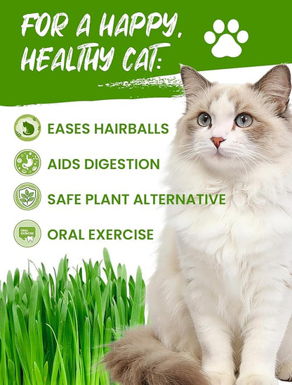 Cat Grass Seed Pack