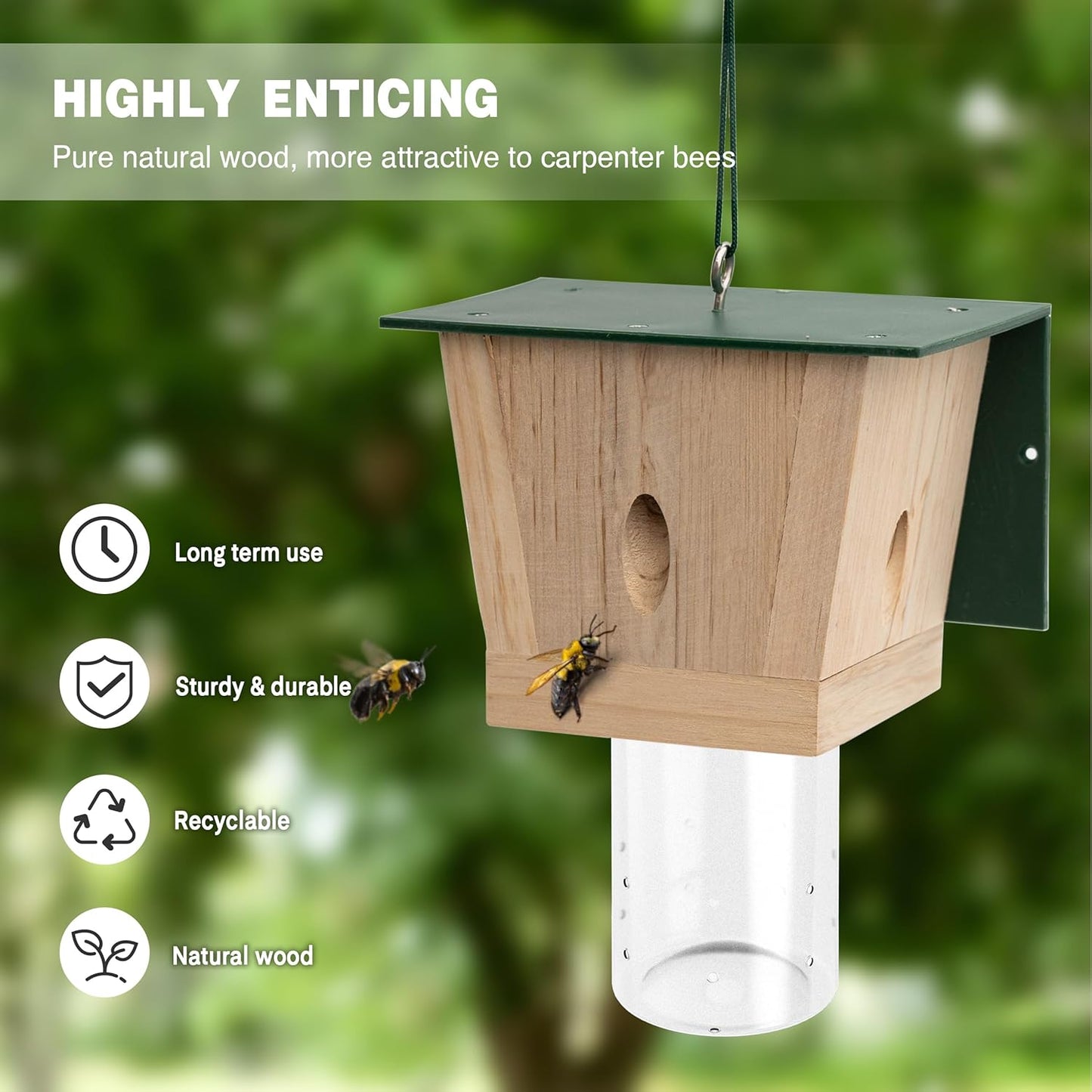 Outdoor Carpenter Bee Trap