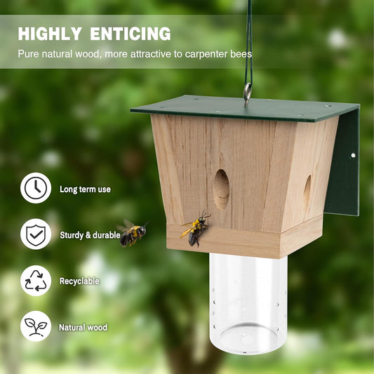 Outdoor Carpenter Bee Trap