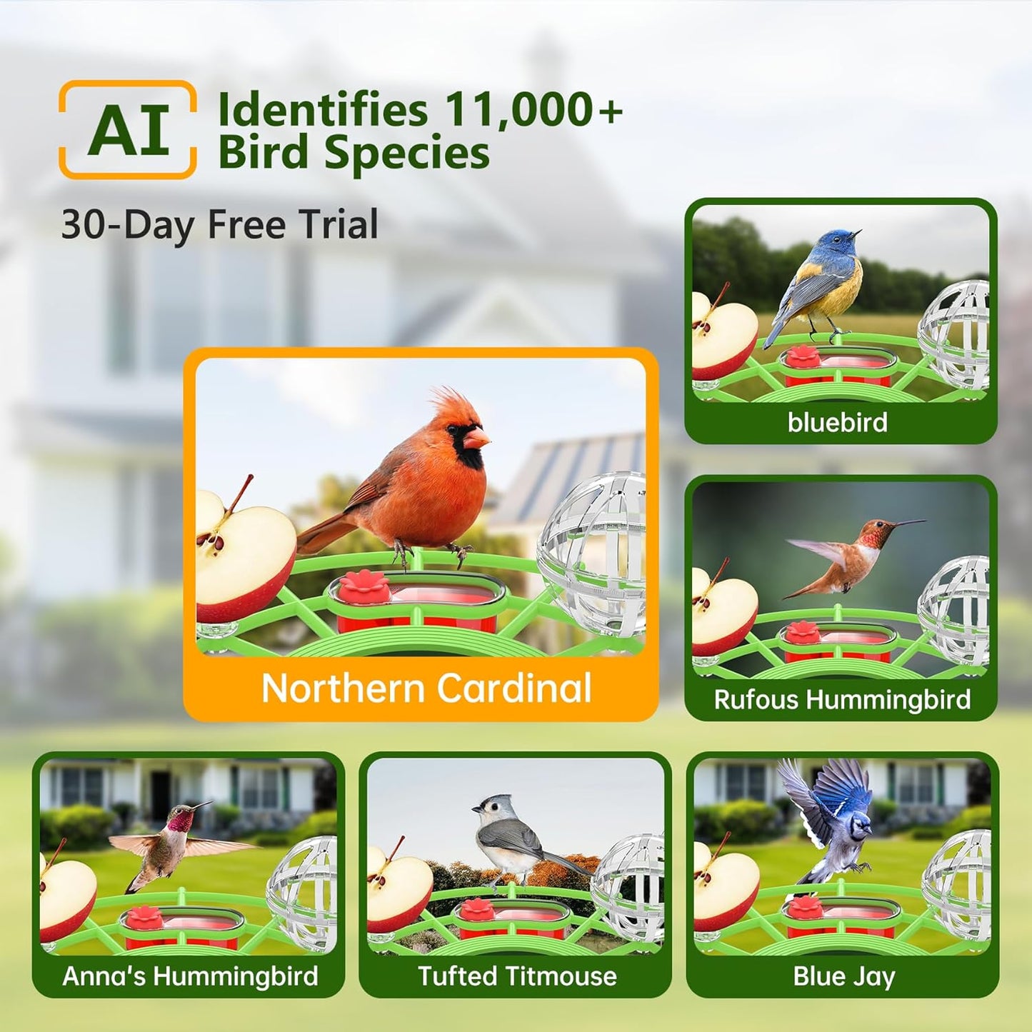 Smart Camera Bird Feeder