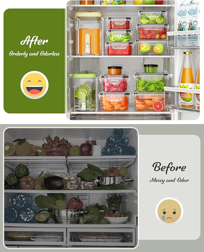Fridge Freezer Storage Containers