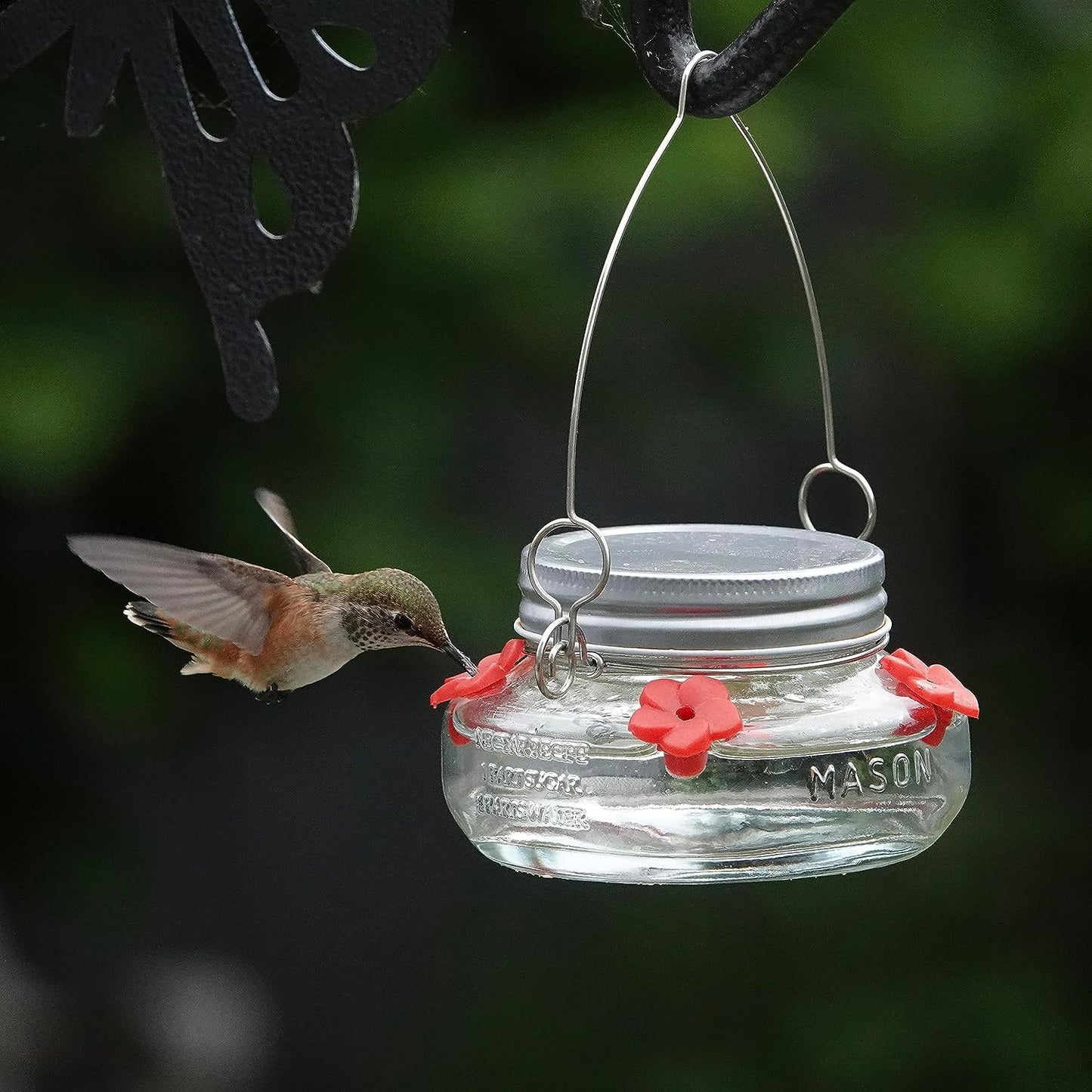 Four-Port Hummingbird Feeder