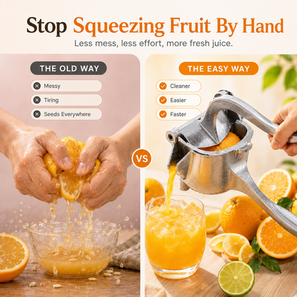 Fruit Juicer Ready to enjoy fresh juice anytime