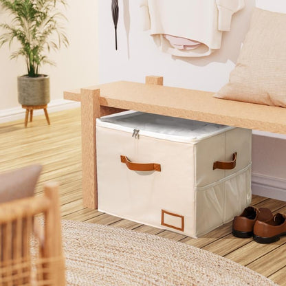 Clear-Lid Shoe Storage Box