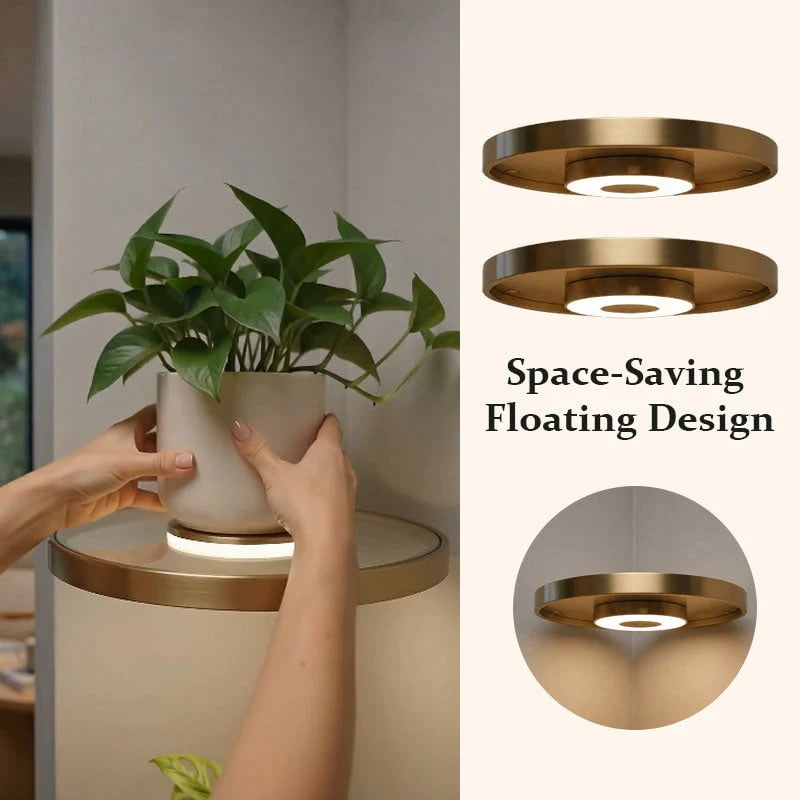 Floating Plant Shelf with Built-in Ambient LED Light