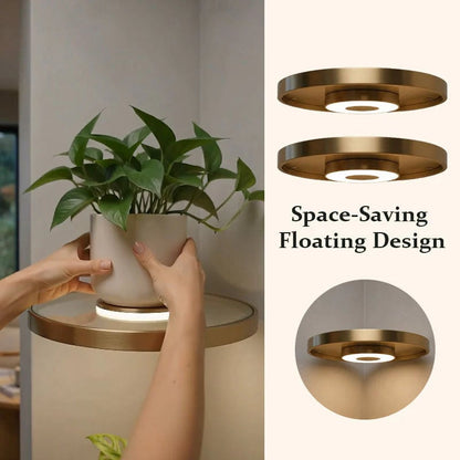 Floating Plant Shelf with Built-in Ambient LED Light