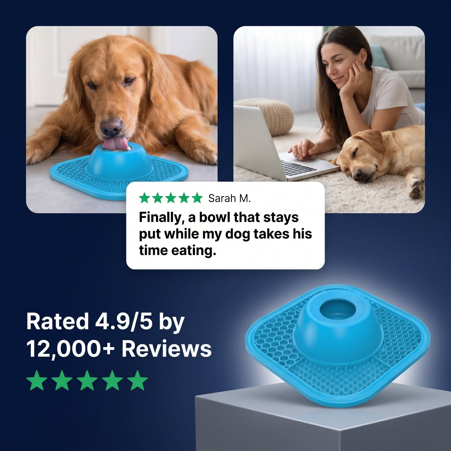 Zen Dog Soothing Bowl