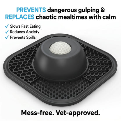 Zen Dog Soothing Bowl