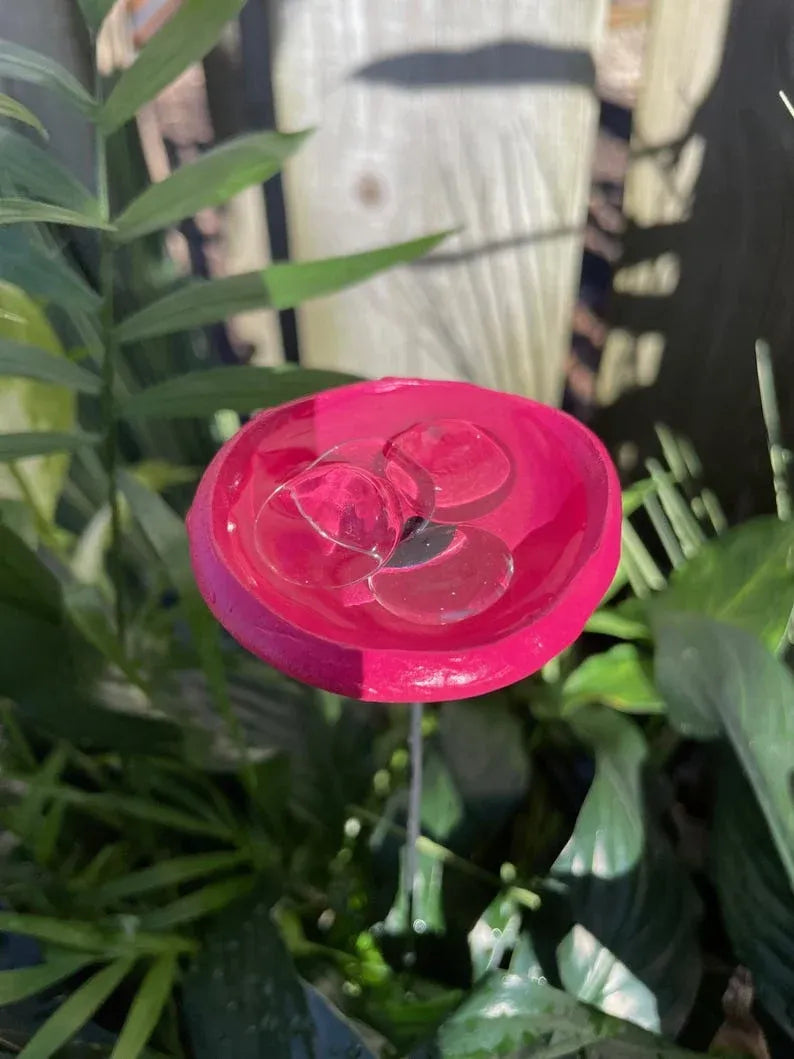 Pollinator Drinking Cup Station