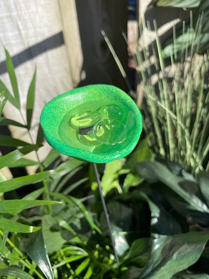 Pollinator Drinking Cup Station