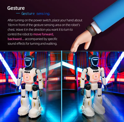 Interactive Humanoid AI Robot