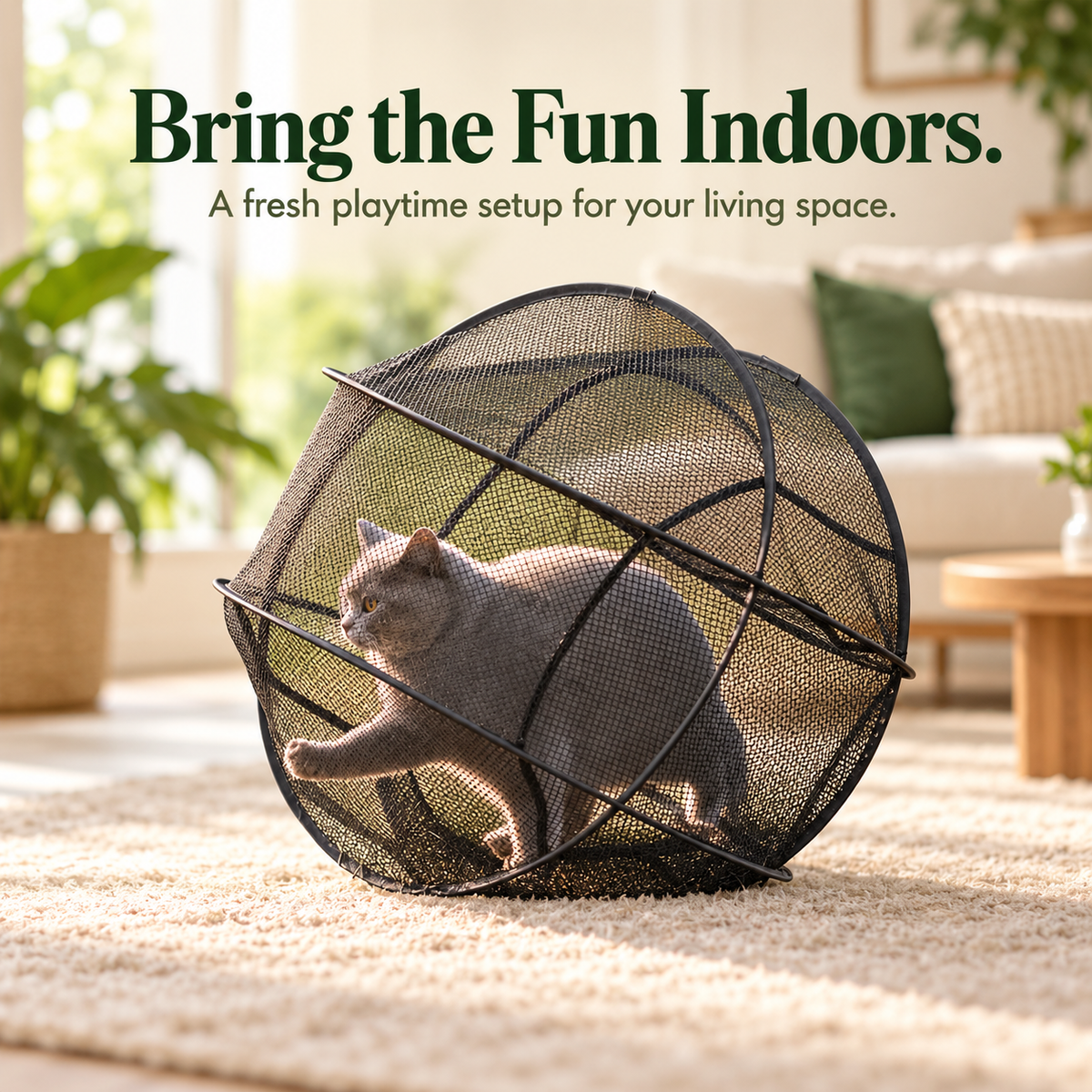 Portable 360 Cat Playpen Their Safe Little Space Anywhere