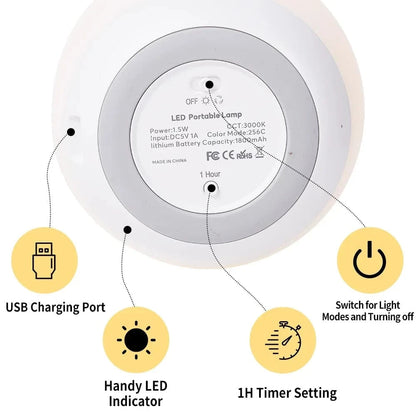 Dimmable Egg Night Light