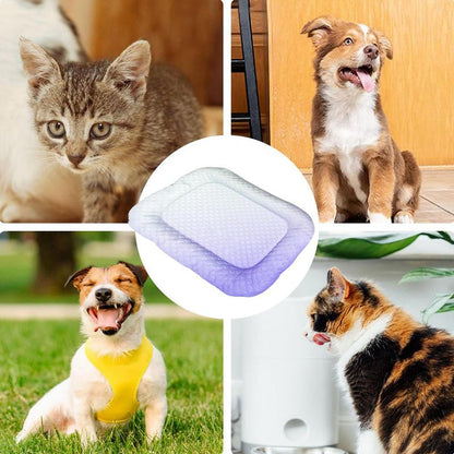 Cooling Pet Bean Mat