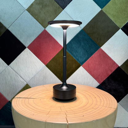 Rechargeable Cordless Desk Lamp