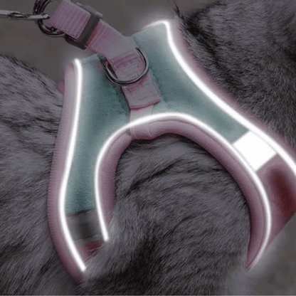 Reflective Small Pet Leash