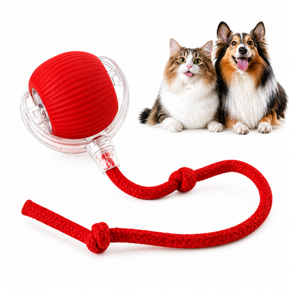 Automatic Pet Chase Balls