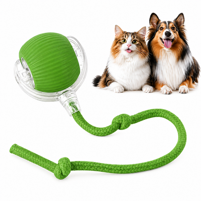 Automatic Pet Chase Balls