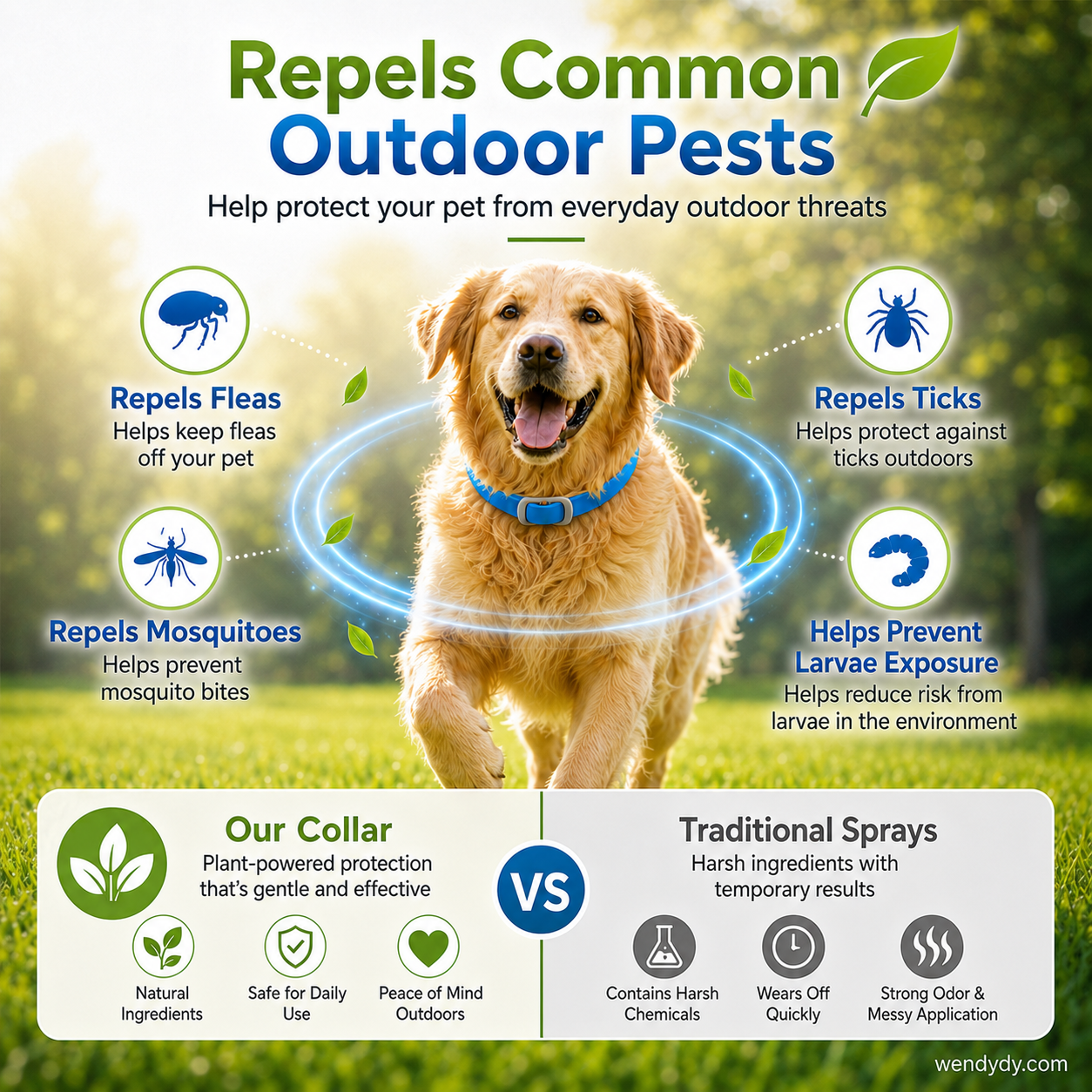 Essential Oil Pet Collar