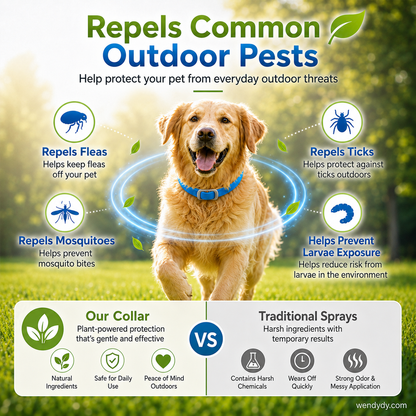 Essential Oil Pet Collar