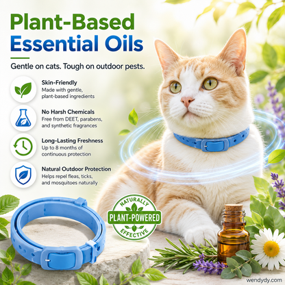 Essential Oil Pet Collar