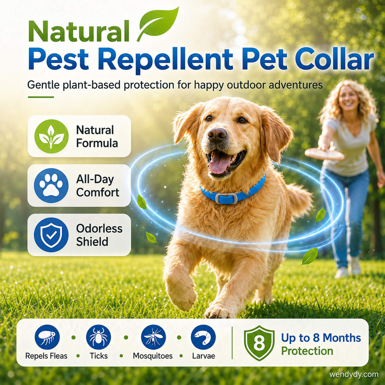 Essential Oil Pet Collar