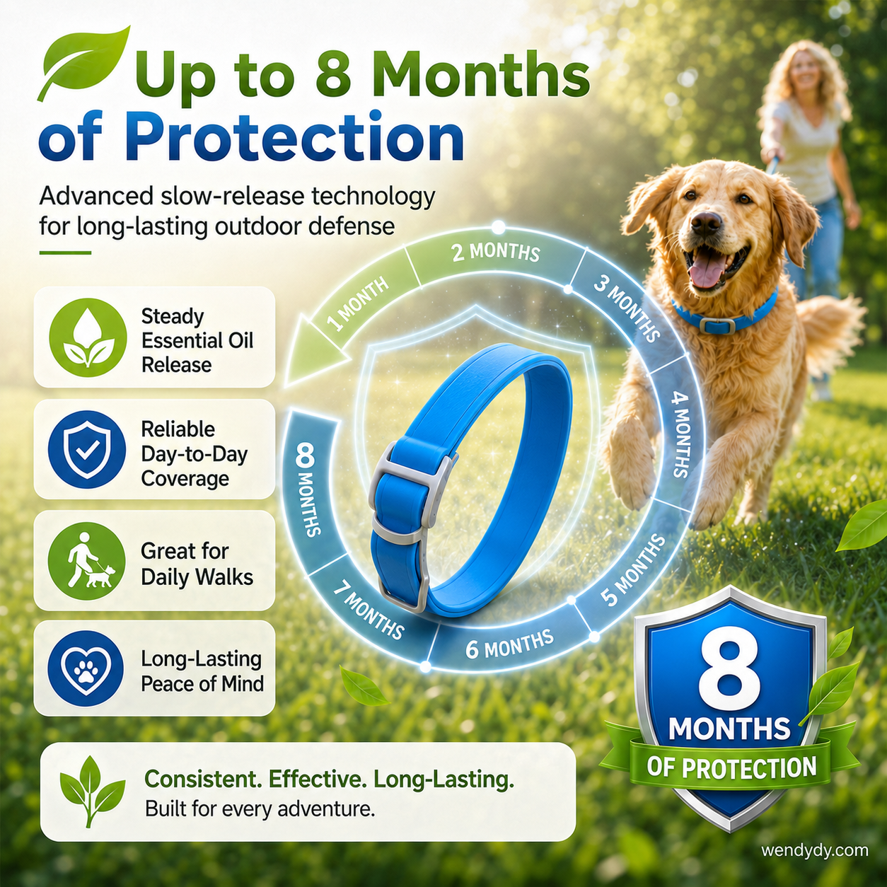 Essential Oil Pet Collar