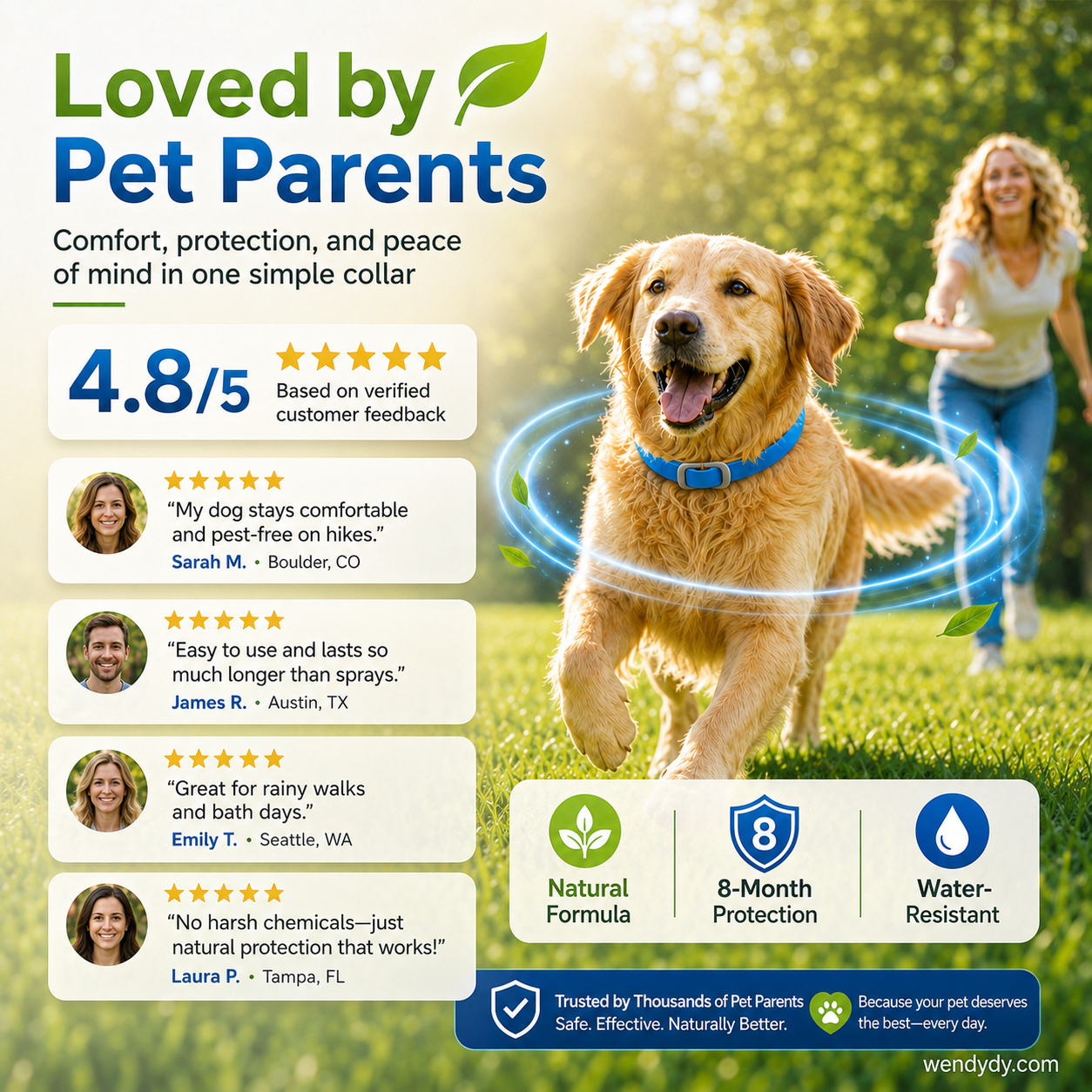Essential Oil Pet Collar