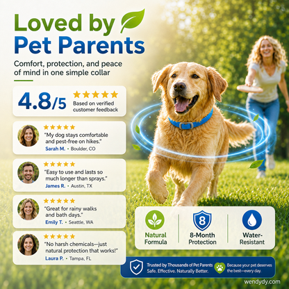Essential Oil Pet Collar