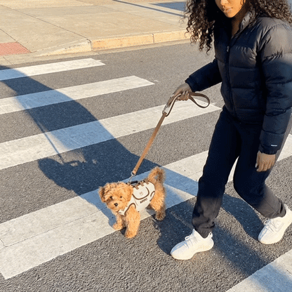 Pet Carrier Backpack
