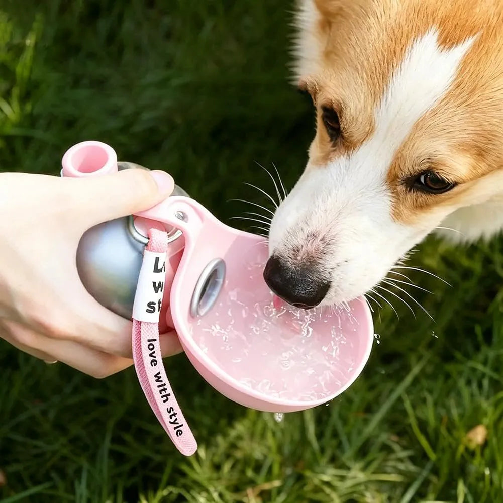 Foldable Stainless Water Feeder