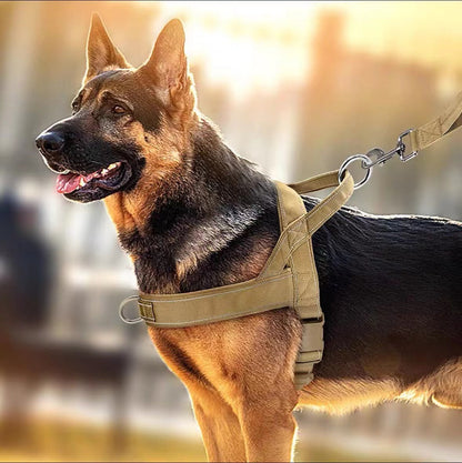 Large Dog Harness Set
